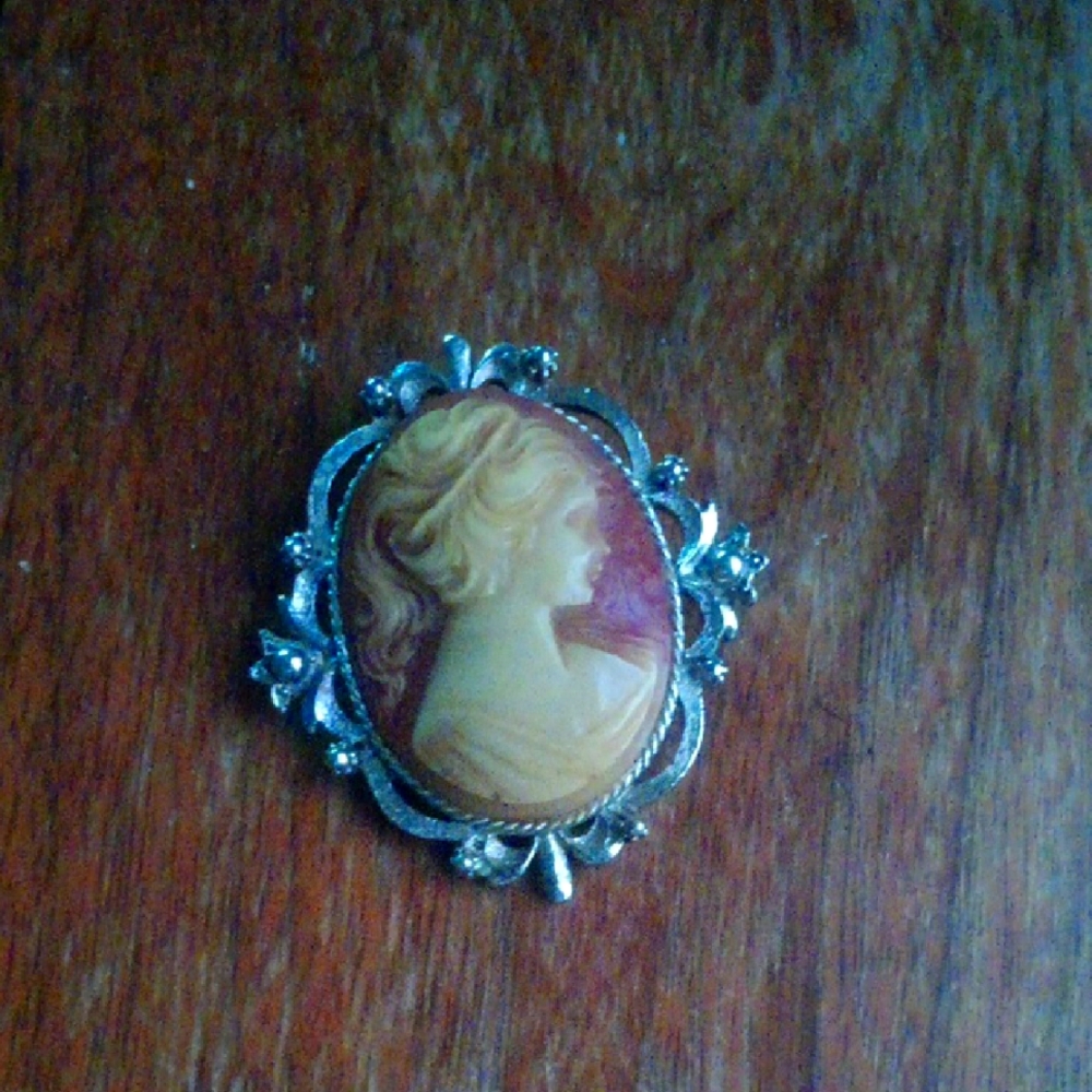 Elegant Silver and Cream Cameo Brooch
